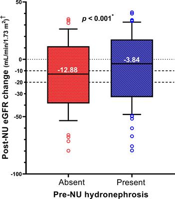 Preoperative hydronephrosis is an independent protective factor of renal function decline after nephroureterectomy for upper tract urothelial carcinoma